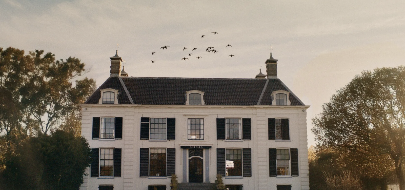 Little Hotel Detective